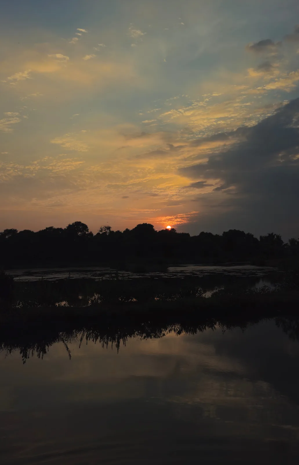 A serene sunrise over a calm body of water, with the sun low on the horizon behind silhouetted trees, casting golden light…