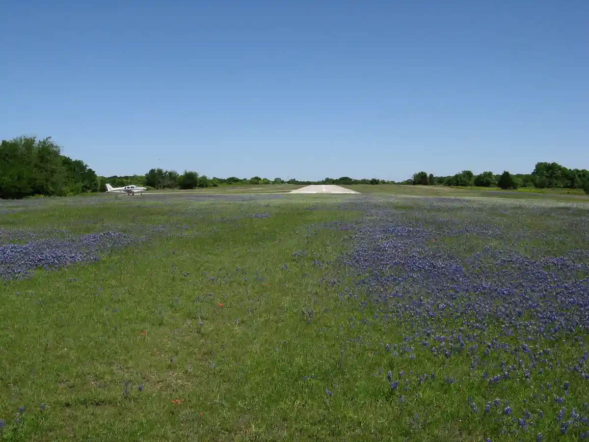 A wide shot of a grassy field covered in bluebonnet flowers under a clear blue sky, with a small white airplane parked on a…