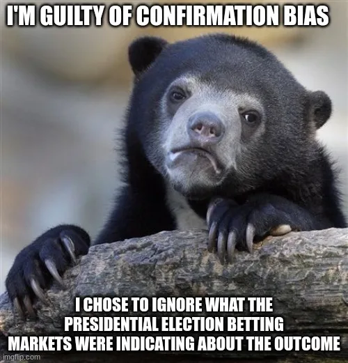 A black bear with a sad, guilty expression rests its paws on a log. White text overlaid at the top reads 'I'M GUILTY OF…