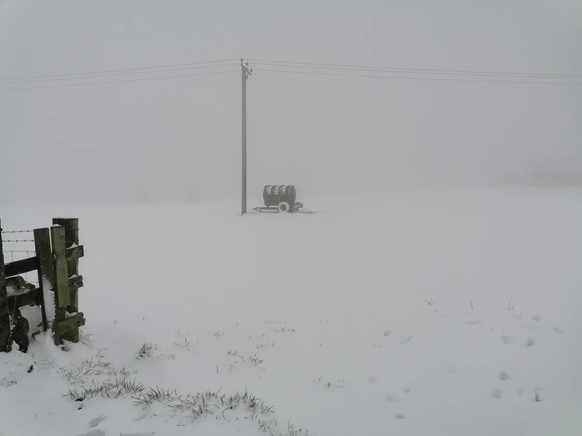 A snowy, foggy field with a wooden fence on the left, footprints leading into the distance, and a utility pole with a…