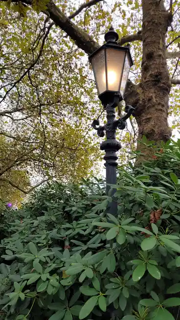 A vintage-style black metal street lamp with a glowing bulb is surrounded by green bushes and trees with yellowing leaves…