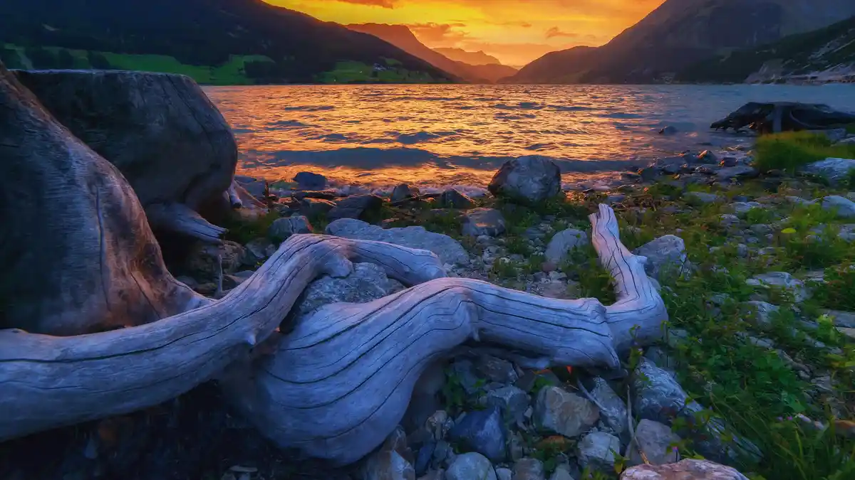 In the South Tyrol Italian Alps, the submerged village of Graun, once home to 163 homes, was flooded in 1950 to create an…