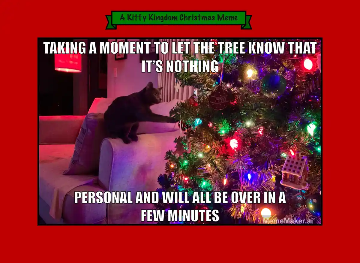 Countdown to Christmas in the Kitty Kingdom: Day 22!