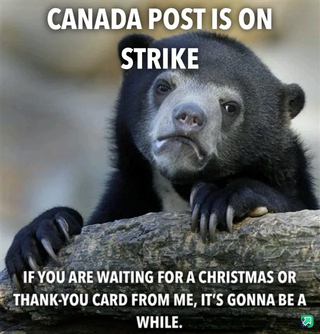 A black bear with a sad, resigned expression rests its paws on a log. White bold text overlaid at the top reads 'CANADA POST…