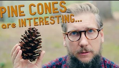 A man with glasses and a beard holds a pine cone while looking at the camera with a surprised expression. The text 'PINE…