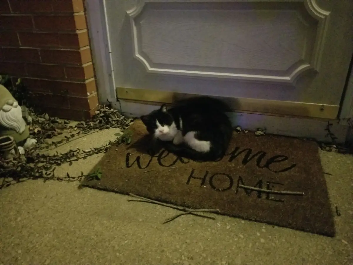 We've Found Our Forever Home!