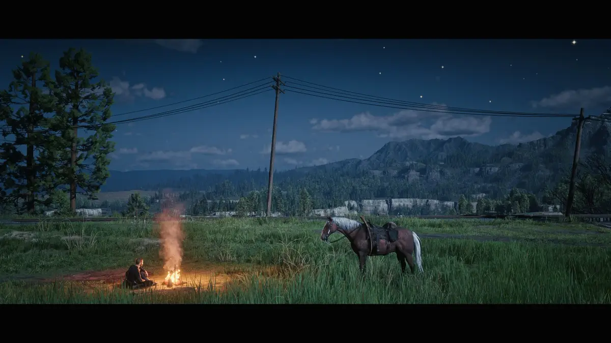 A person sits by a campfire at night in a grassy field, with a saddled horse standing nearby under a starry sky. The image…
