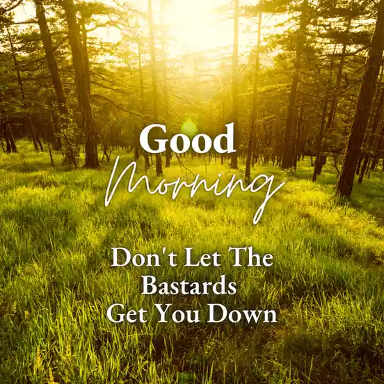 A serene forest scene with sunlight filtering through tall pine trees onto a grassy clearing, overlaid with white text…