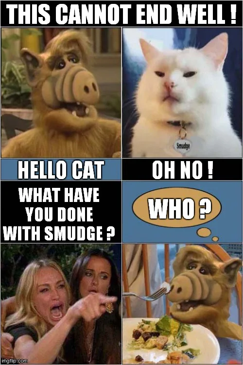 A four-panel meme featuring the Muppet character Fozzie Bear and a white cat named Smudge. The top-left panel shows Fozzie…