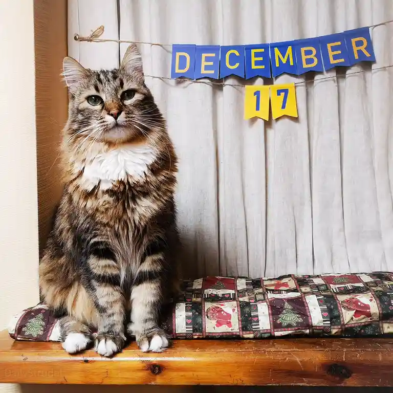Mark Your Calendars for December 17