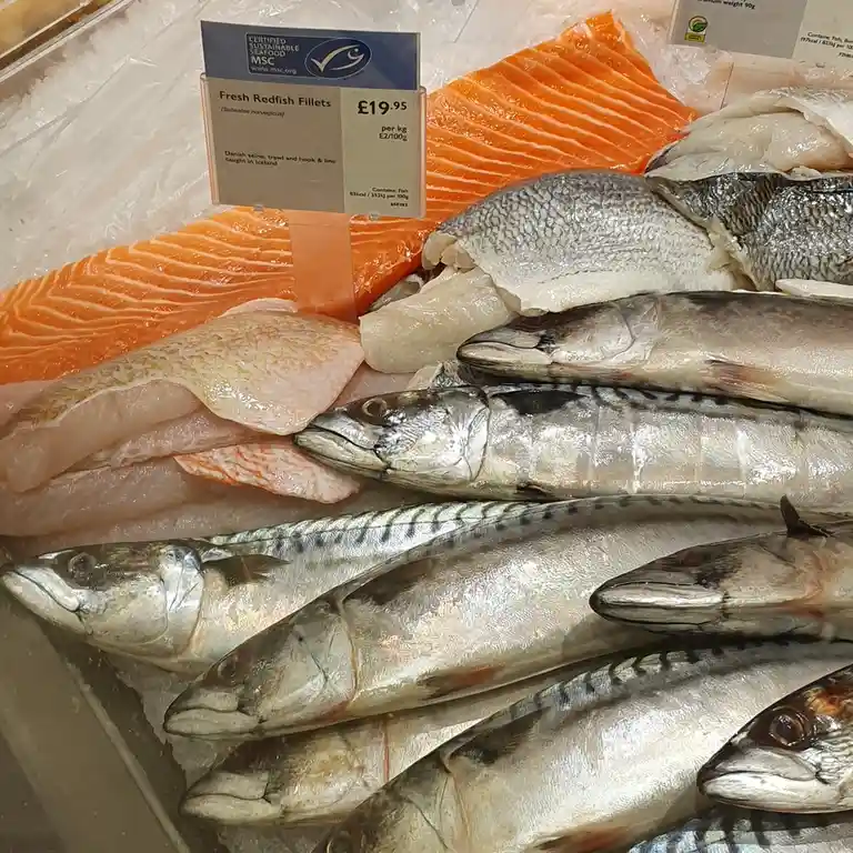 A close-up of a supermarket seafood display with various fish on ice, including bright orange salmon fillets, white fish…