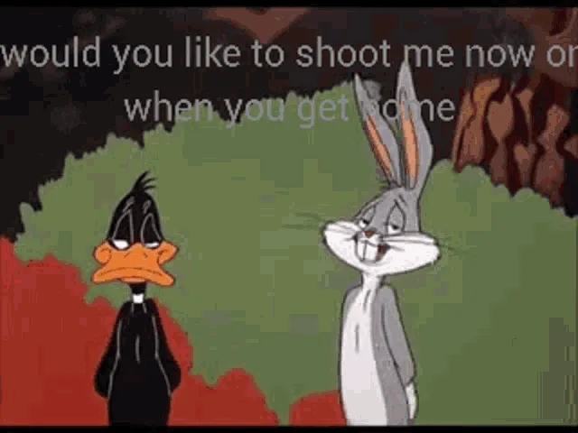 This meme features two panels from a Looney Tunes cartoon. The top panel shows Daffy Duck and Bugs Bunny, with text overlays…