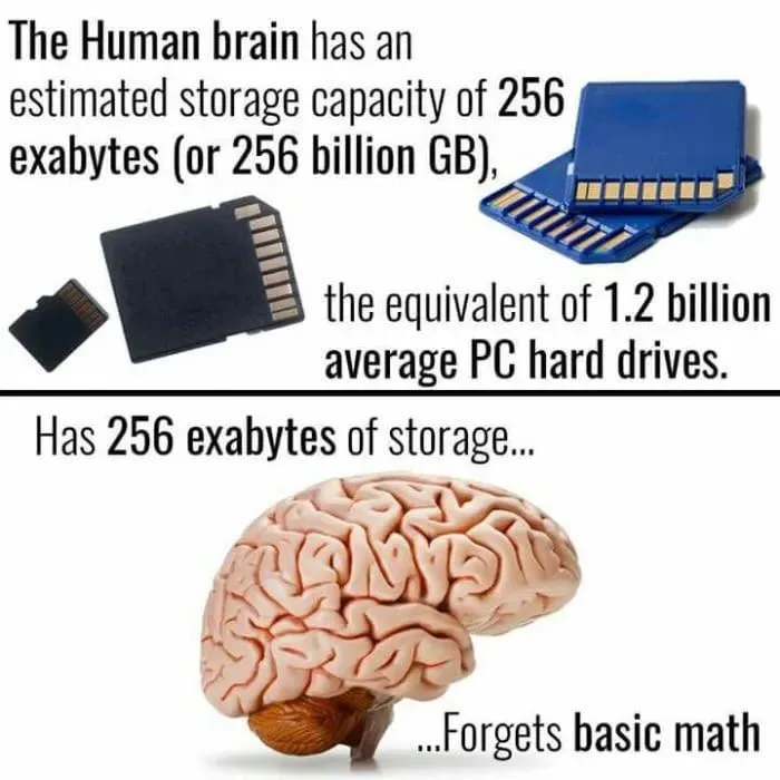 The image displays a split-panel meme. The top panel shows SD cards and text stating the human brain has 256 exabytes of…