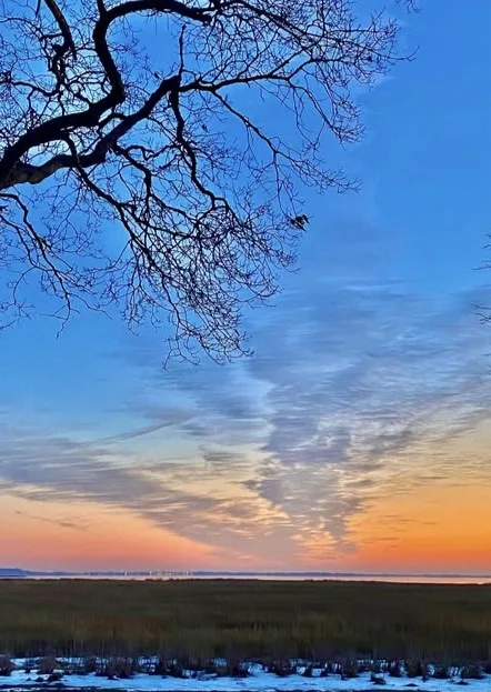 A serene landscape photo of a bare tree branch silhouetted against a vibrant sunset sky with orange and blue hues…