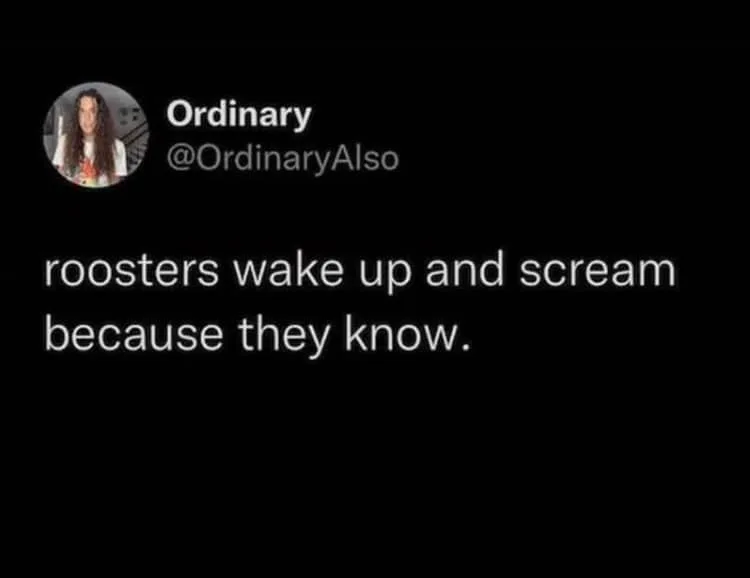 A screenshot of a tweet from user 'Ordinary' with handle '@OrdinaryAlso', showing a circular profile picture of a person…
