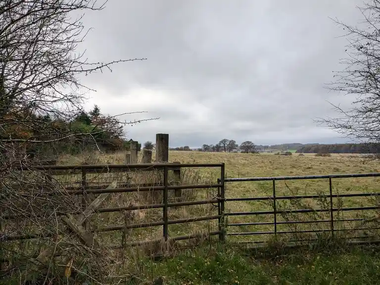 A rusty metal gate in a rural field, partially open and surrounded by overgrown grass and bare tree branches under an…