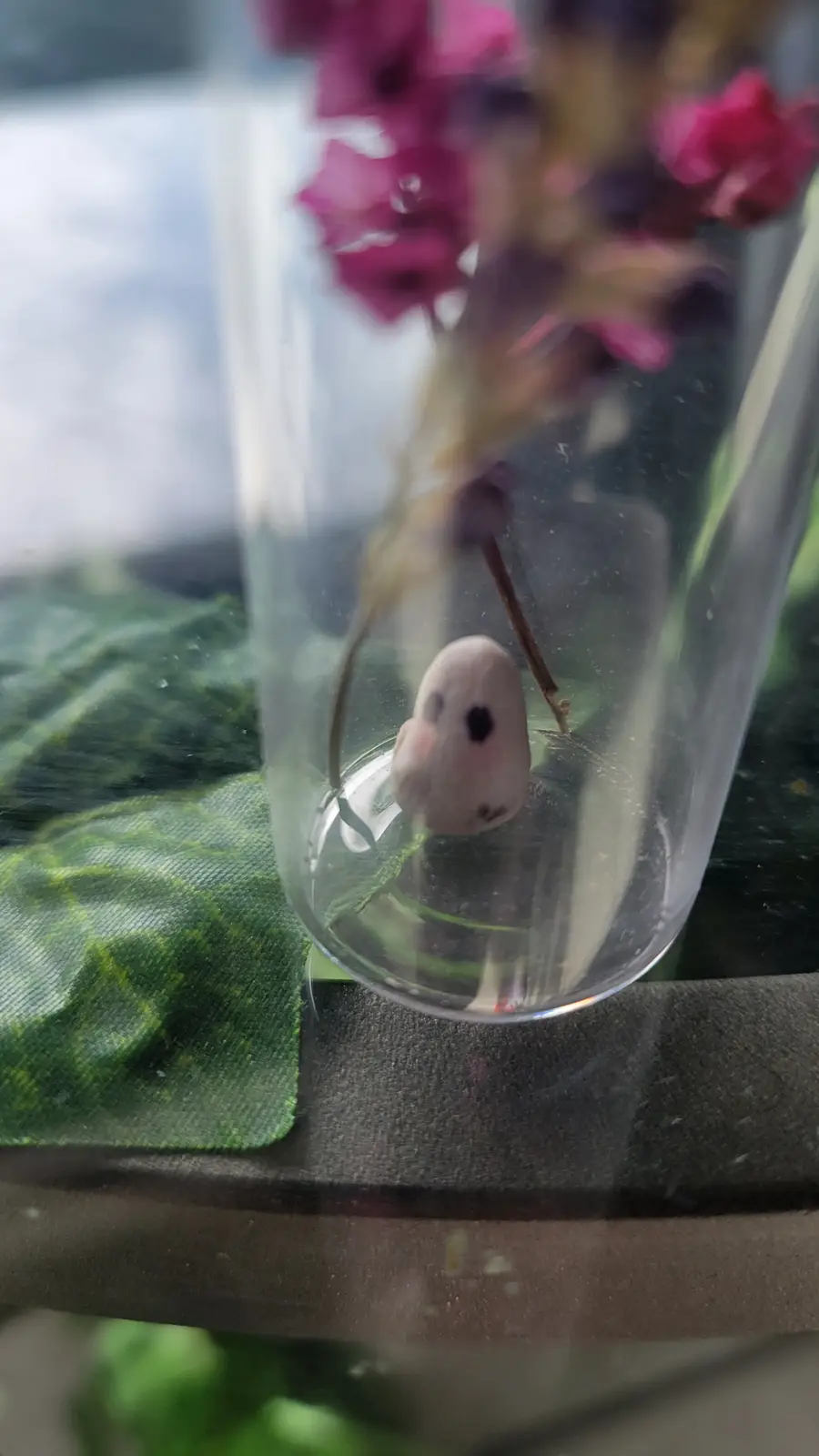 A small, white, ghost-like figurine with black eyes and a pink blush sits at the bottom of a clear glass vase containing…