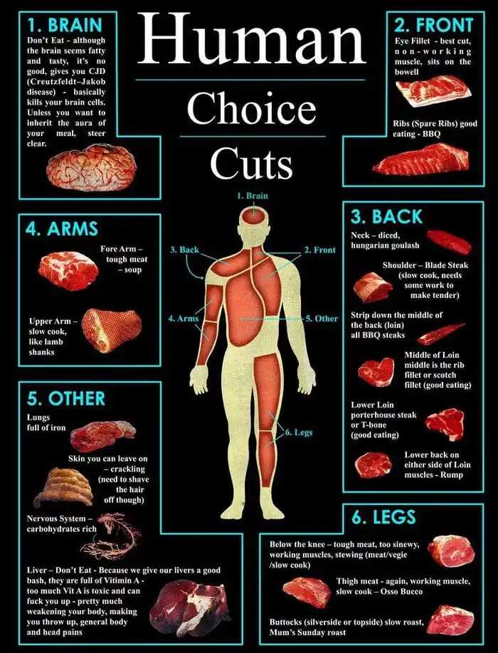 An infographic titled 'Human Choice Cuts' humorously labels human body parts as meat cuts with cooking advice. It shows a…