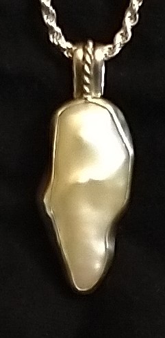 a close-up photo shows a necklace with a pendant shaped like a human tooth, set in a silver-colored metal, against a black…