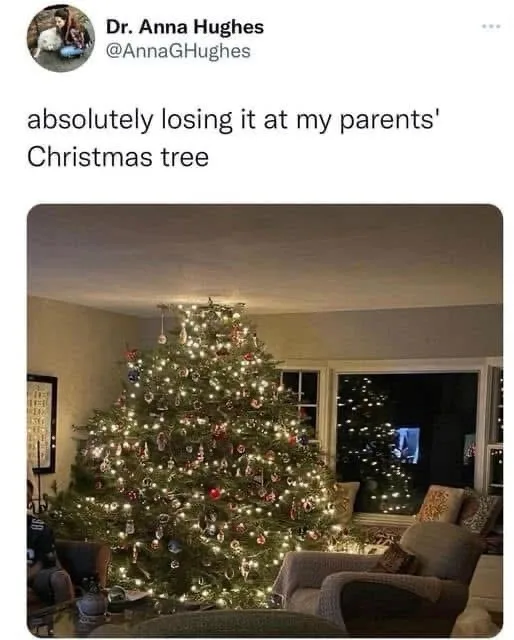 A social media post by Dr. Anna Hughes showing a large, densely decorated Christmas tree in a living room, with lights and…