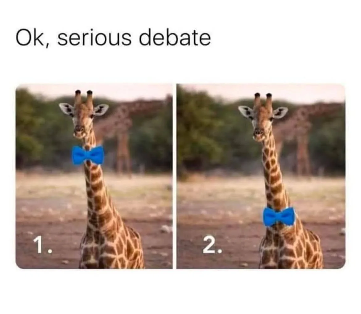 Which one should we choose?