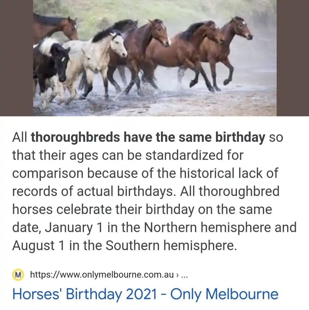 A photo of several horses running through shallow water, overlaid with text explaining that all thoroughbred horses have…