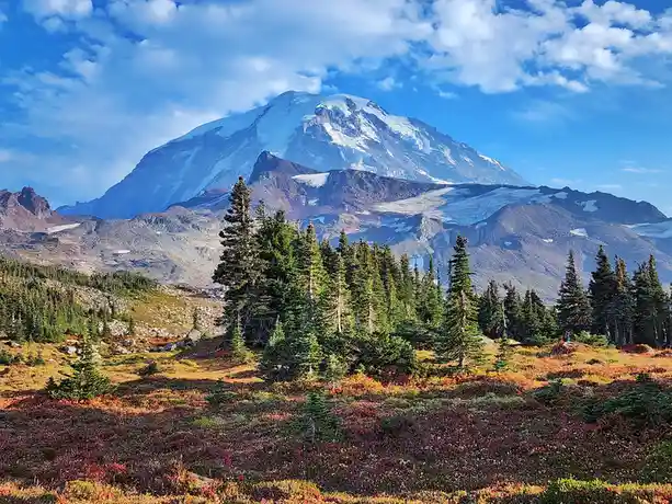 A scenic photograph of Mount Rainier, a large snow-capped mountain under a partly cloudy blue sky, with a foreground of…