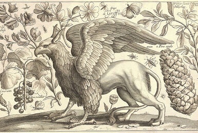 An antique-style black-and-white engraving depicts a mythical griffin, a creature with the body of a lion and the head and…