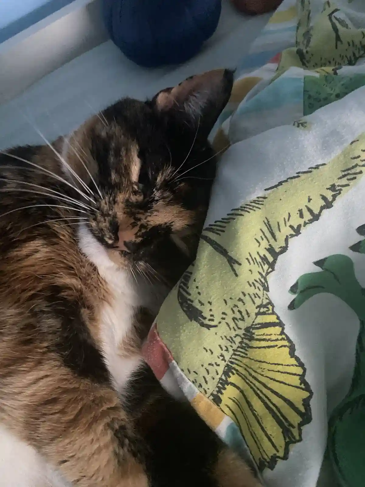 A calico cat with a white chest is curled up and sleeping soundly on a colorful blanket featuring a large green dinosaur…