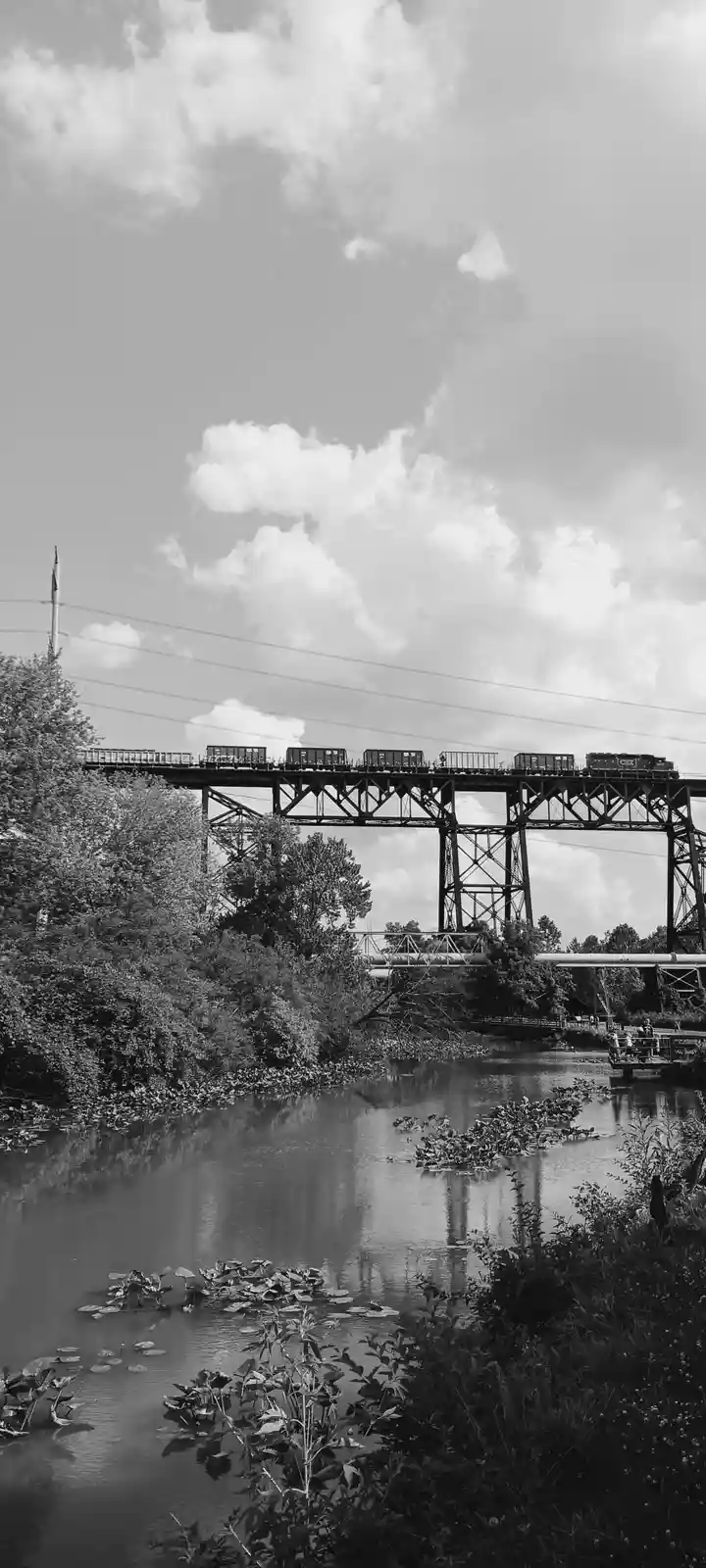 A black-and-white photo shows a freight train crossing a metal truss bridge over a calm river with lily pads and trees. The…