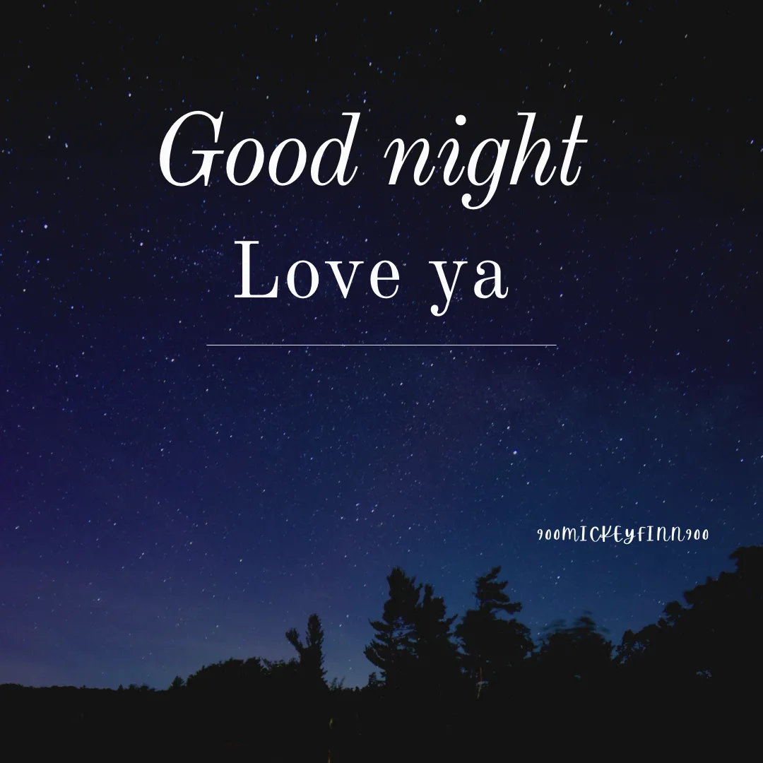 A starry night sky with silhouettes of trees at the bottom, overlaid with the text 'Good night Love ya' in a white cursive…