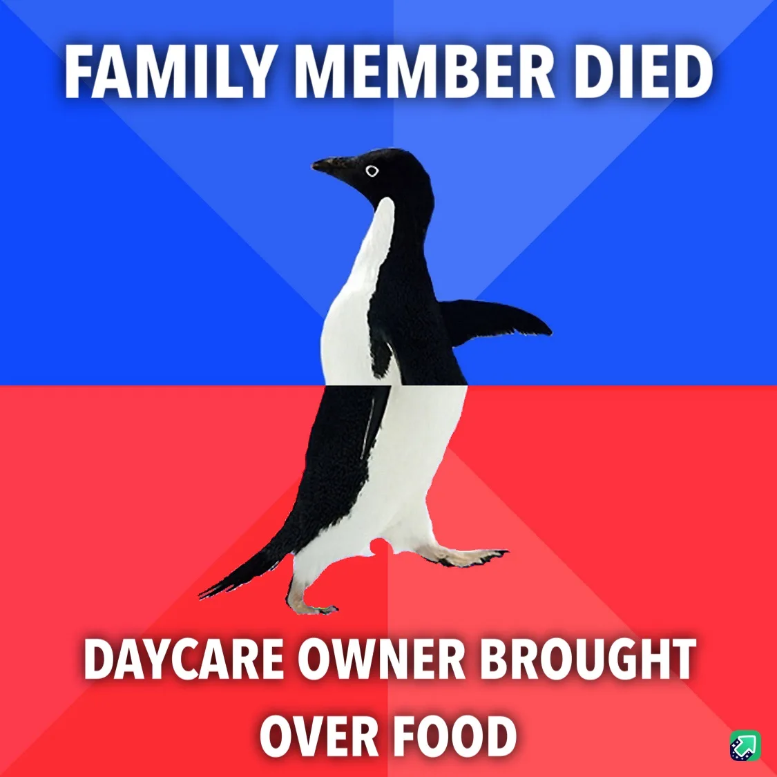 Shoutout to my incredible daycare provider!