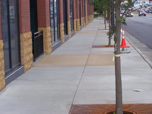 A photo of a concrete sidewalk next to a brick building with large windows, featuring a young tree with a yellow band around…