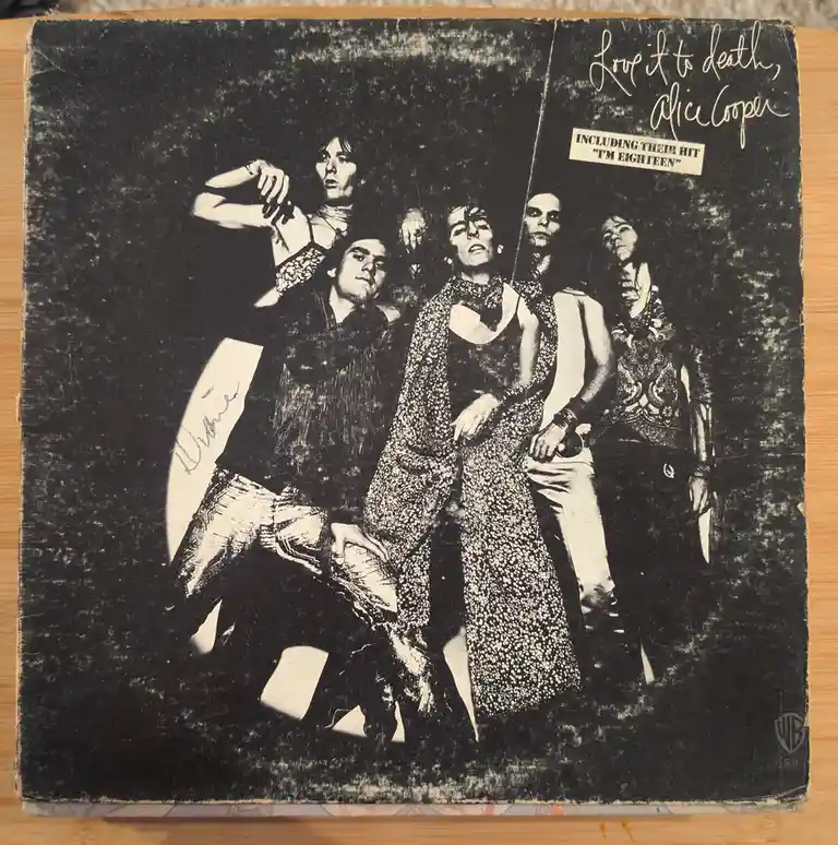 Mom's Vinyl Treasures: A Collection from #1 to #10