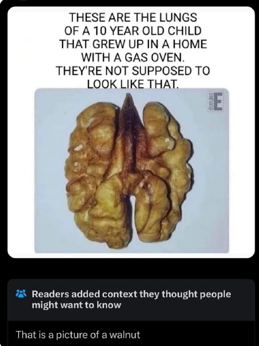 The image displays a close-up of a walnut, which is humorously captioned as the lungs of a child who grew up in a home with…