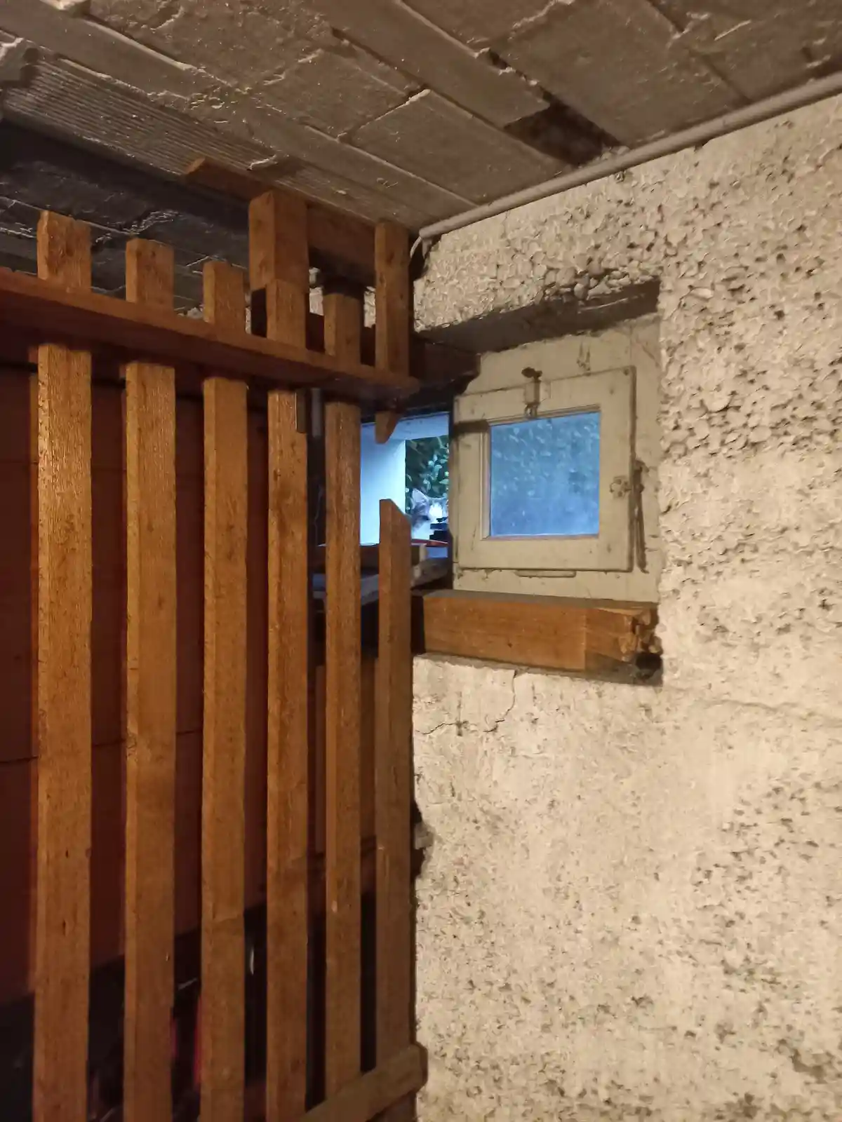 A cat is visible through a small, weathered window in a rough-textured concrete wall, looking into a dimly lit basement…