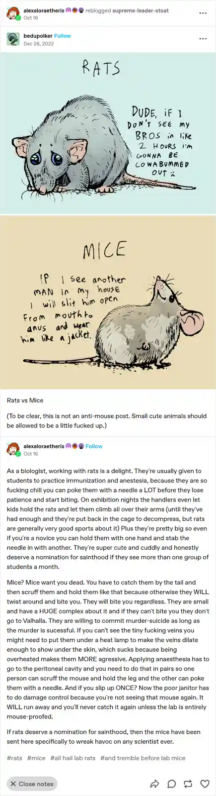 The image displays two cartoon panels. The top panel shows a sad-looking rat with blue eyes and the text 'RATS' above it…