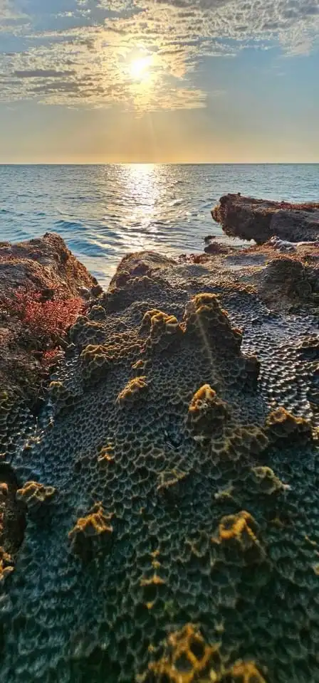 A scenic photo of a sunlit ocean at sunrise or sunset, with the sun casting a golden glow over the water. In the foreground…