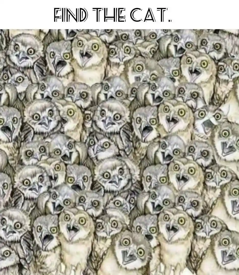 The image displays a dense, repeating pattern of illustrated owl faces with wide yellow eyes and various beak shapes…