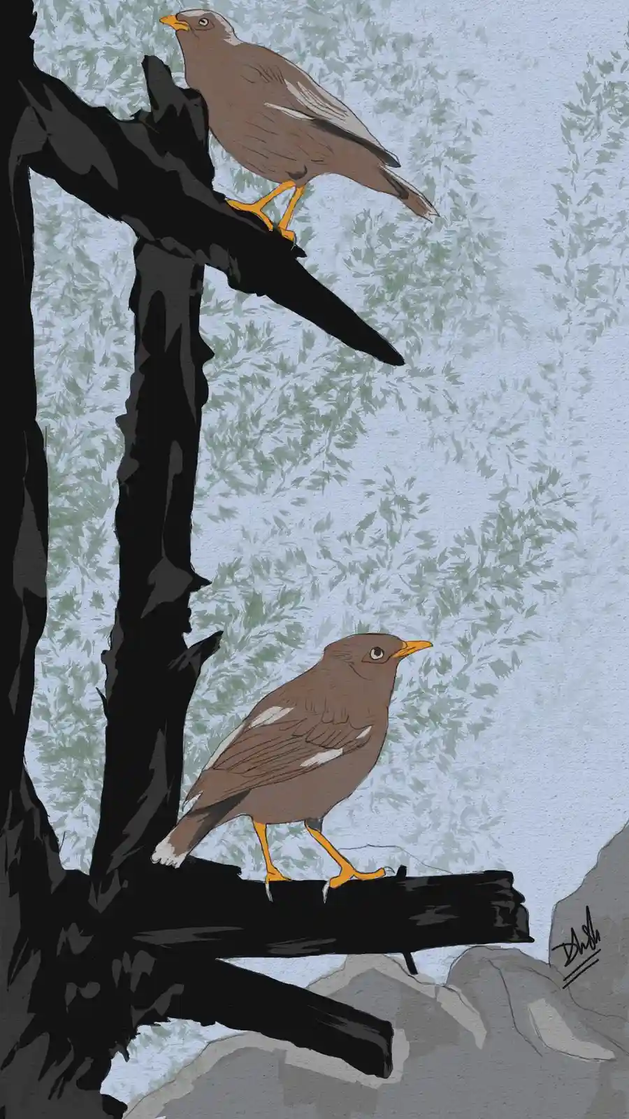 An illustration shows two brown birds with orange beaks and legs perched on dark tree branches against a light blue…