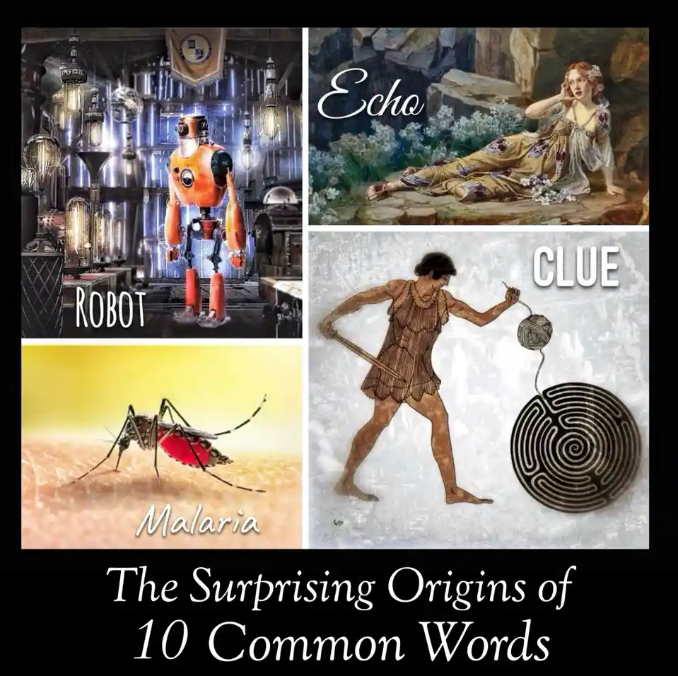 A four-panel image showing a steampunk robot labeled 'ROBOT', a classical painting of a woman labeled 'Echo', a classical…