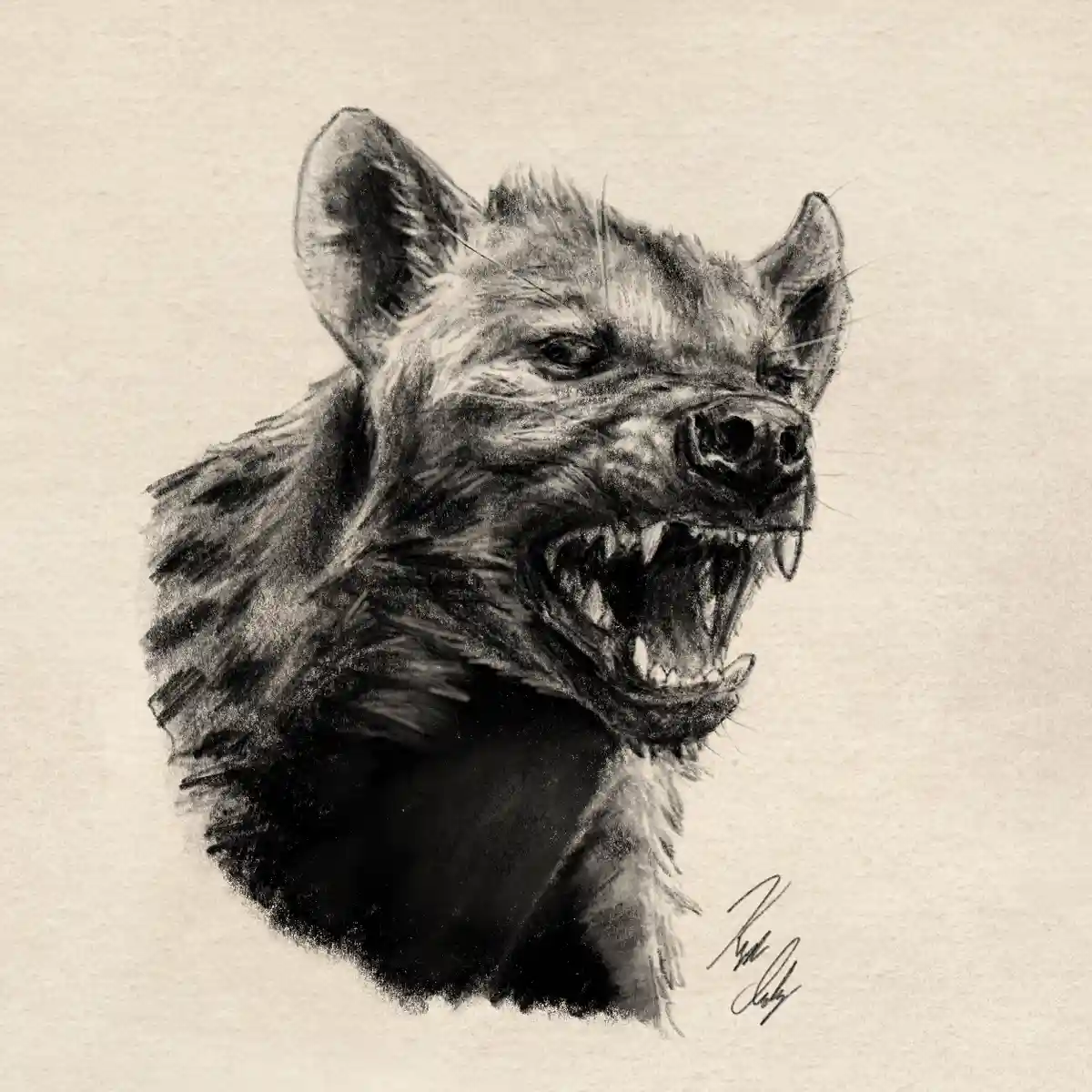 Captivating Hyena Sketch: Nature's Intriguing Creatures