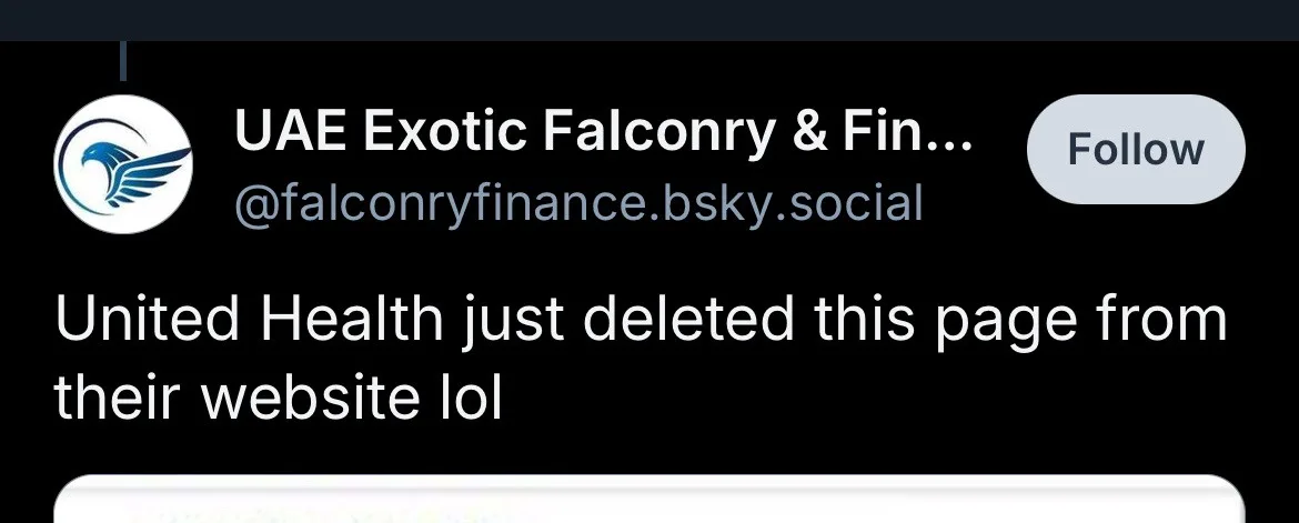 A screenshot of a Bluesky social media profile for 'UAE Exotic Falconry & Fin...' shows a post stating 'United Health just…