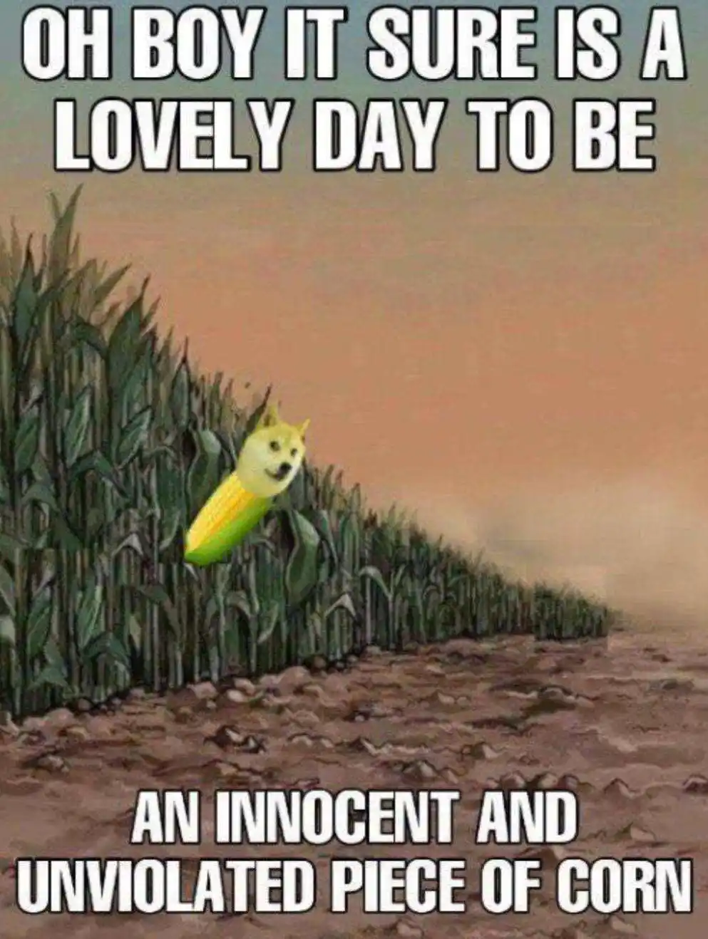 A cartoon-style image shows a cornfield under a hazy sky, with a single ear of corn peeking out from the stalks. The ear of…