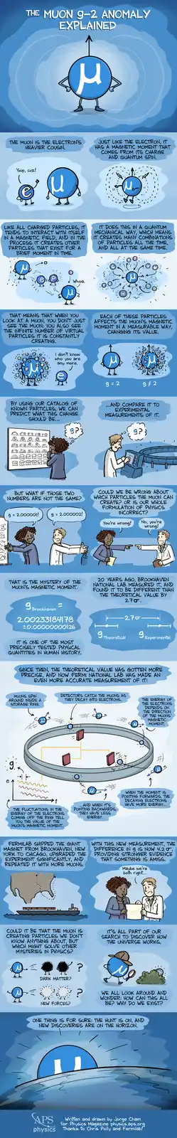 This infographic uses cartoon particles and scientists to explain the muon g-2 anomaly, showing how muons interact with…