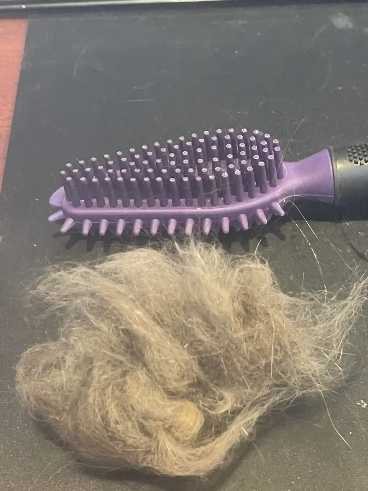 A purple hairbrush with bristles covered in hair sits next to a large, tangled clump of light brown hair on a dark surface…
