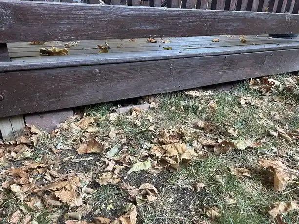 A close-up photo shows the underside of a weathered wooden park bench, with dry brown autumn leaves and sparse green grass…
