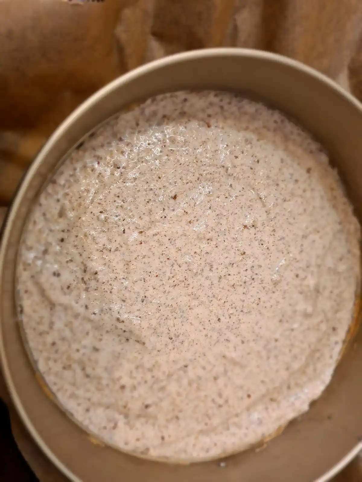A close-up photo shows a round, light-colored batter or dough rising in a metal baking pan, speckled with dark flecks…