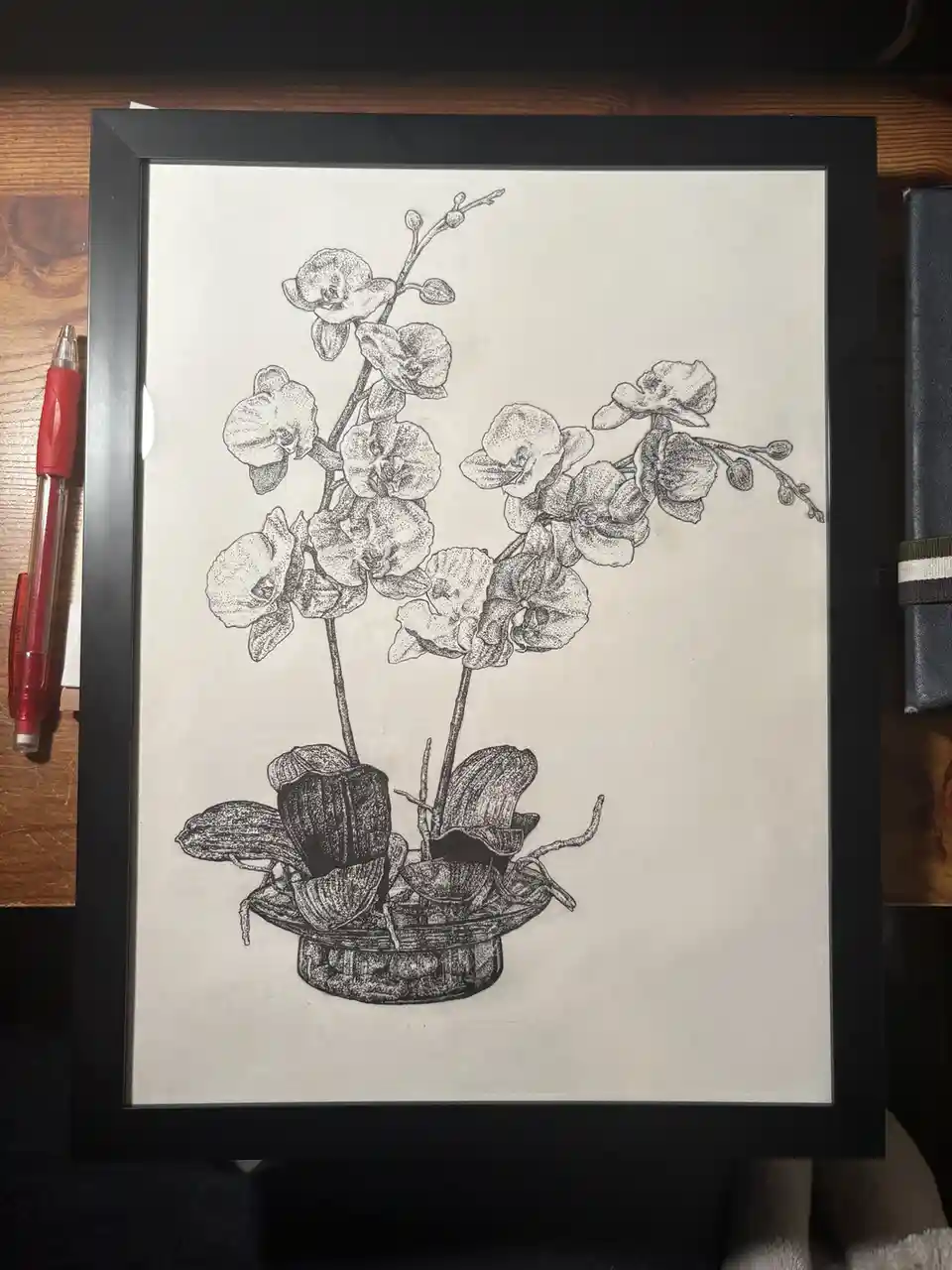 A black-and-white framed drawing of an orchid plant with detailed flowers and leaves, rendered in a stippling style. The…