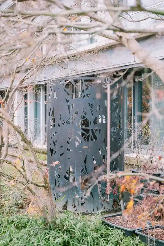 A photograph of a decorative, leaf-shaped metal screen or fence in an outdoor garden setting, partially obscured by bare…